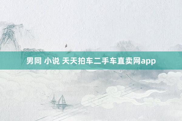 男同 小说 天天拍车二手车直卖网app