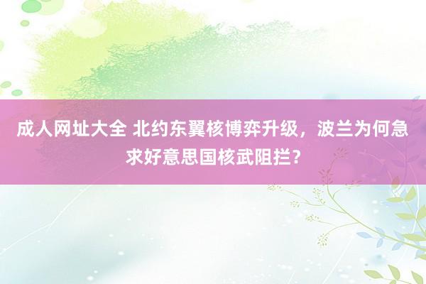 成人网址大全 北约东翼核博弈升级，波兰为何急求好意思国核武阻拦？