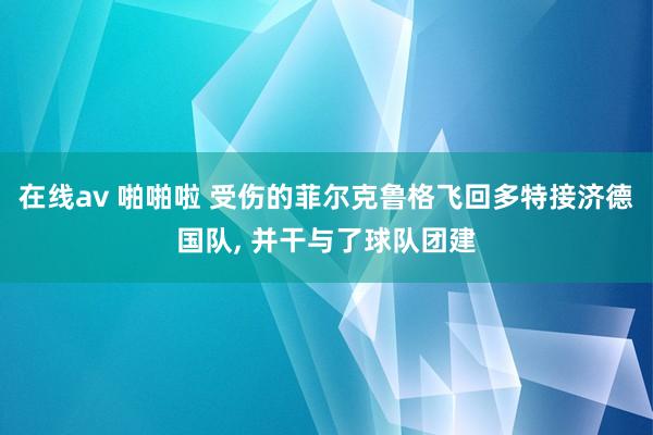 在线av 啪啪啦 受伤的菲尔克鲁格飞回多特接济德国队， 并干与了球队团建